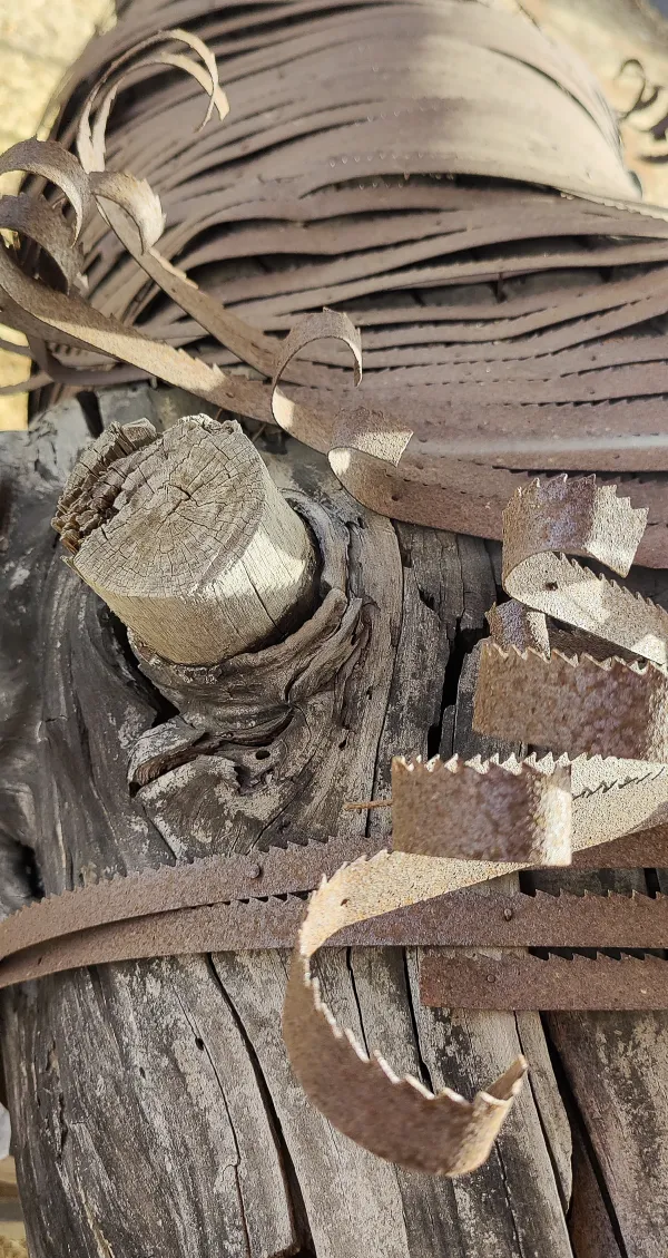 L'Albero Parlante (dettaglio)