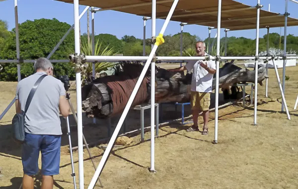 Stefano Mancuso racconta la storia dell'albero