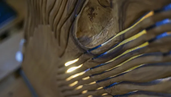 Scultura in legno d'ulivo (dettaglio)